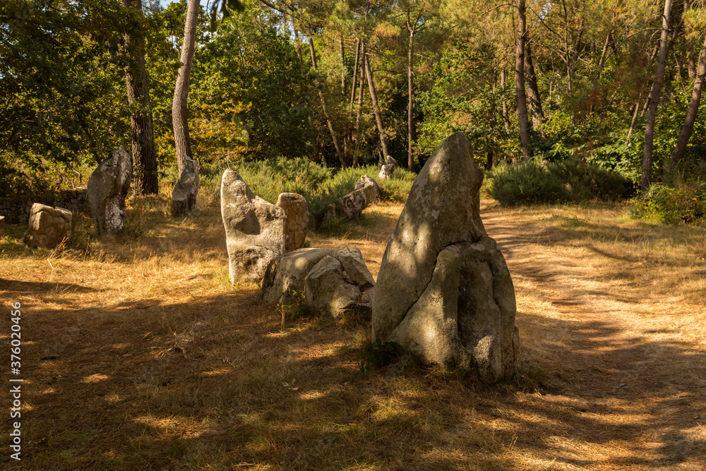 Forêt de Carnac